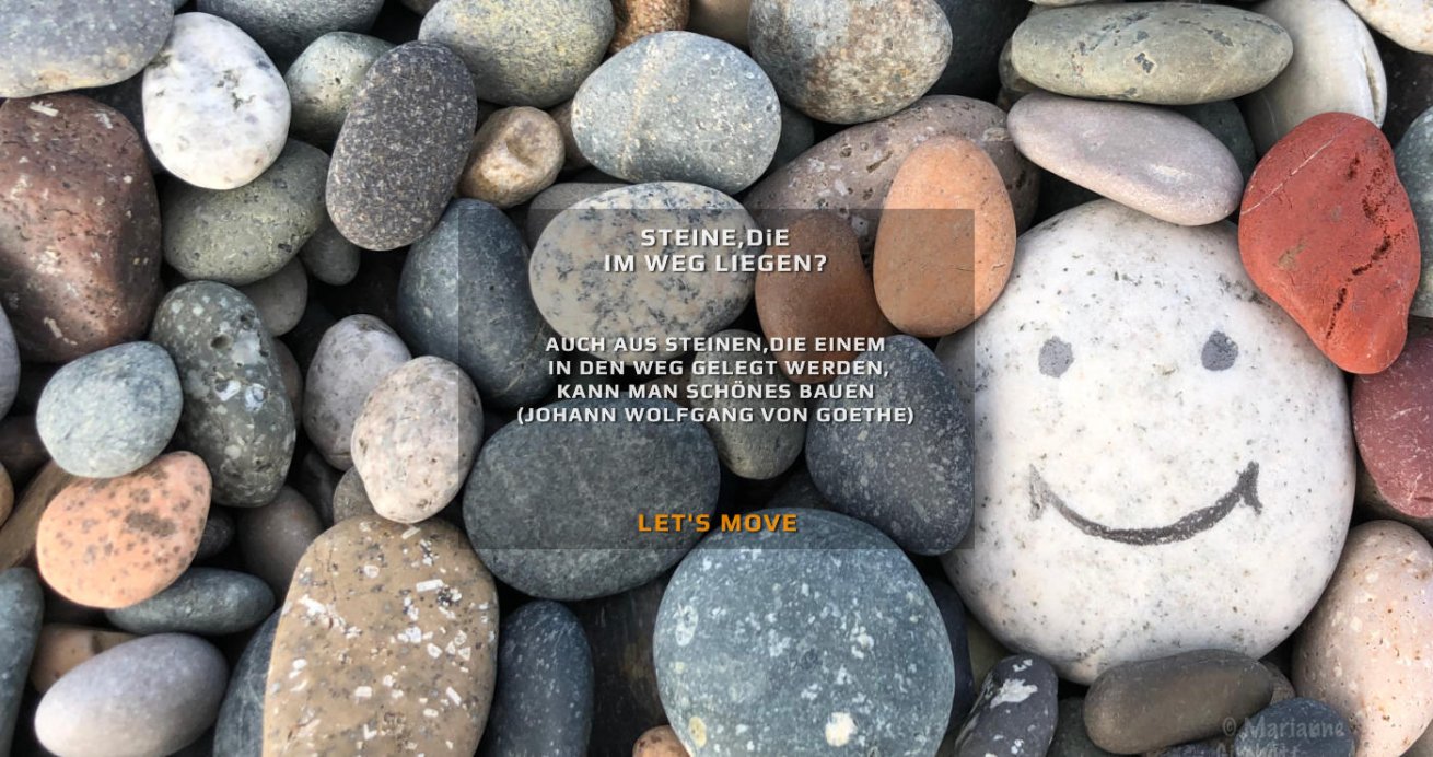 Steine, die im Weg liegen? Coaching Agentur Pathfinder